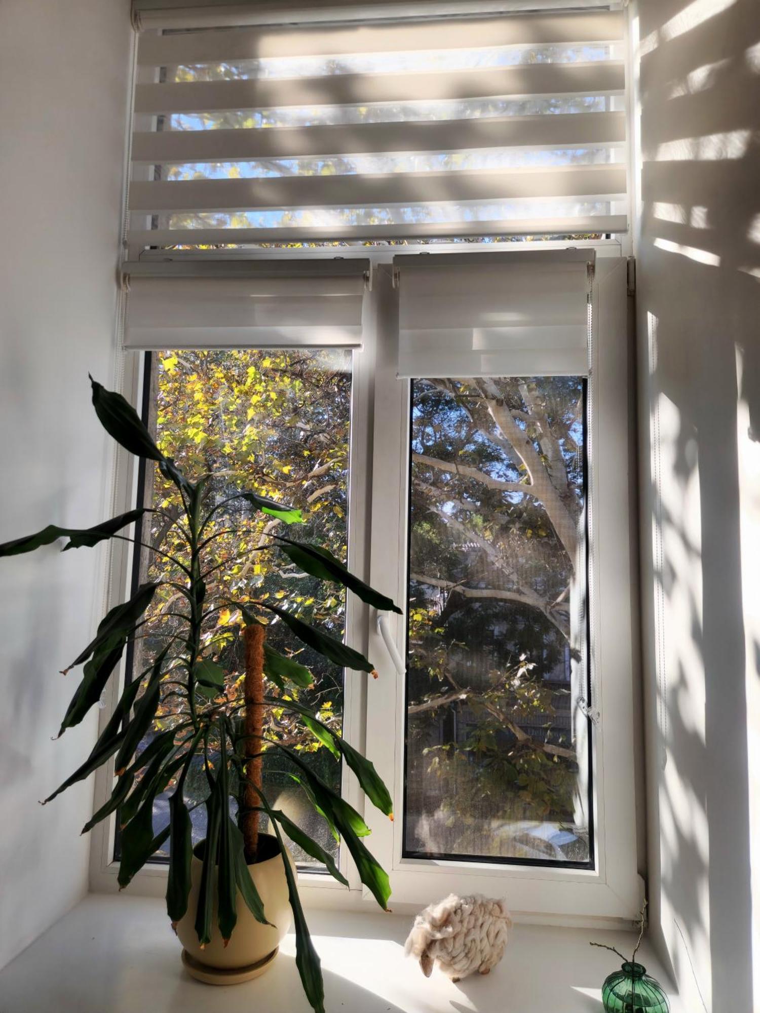 Scandi Group Apartaments 敖德萨 客房 照片